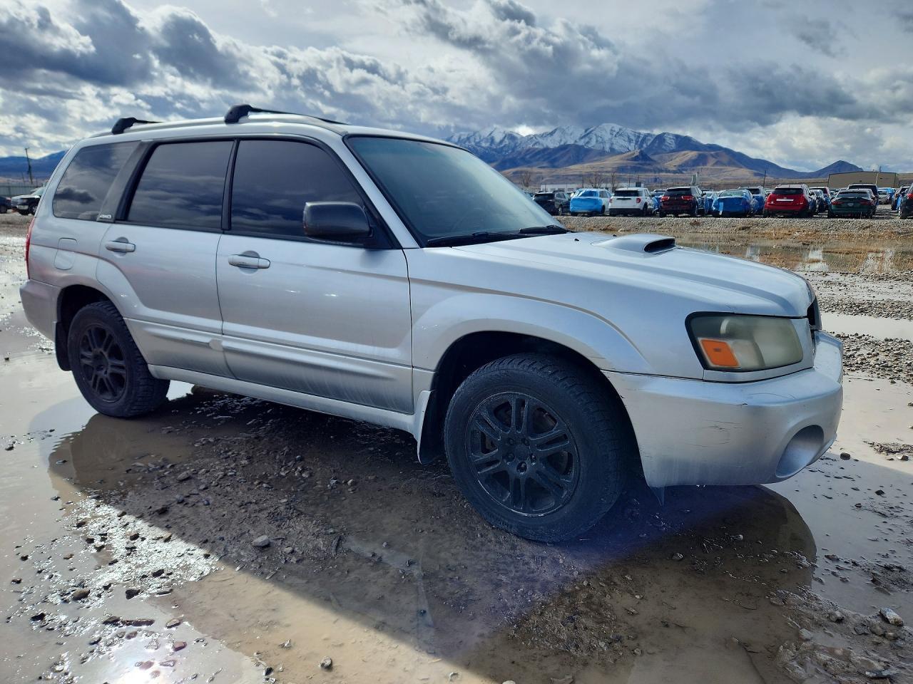 2004 Subaru Forester 2.5Xt - Фото 4
