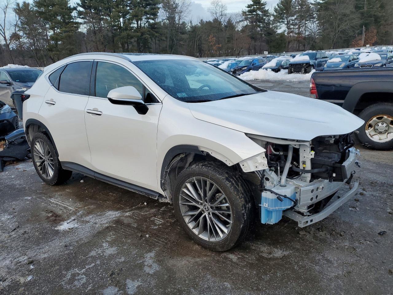 2023 Lexus Nx 350H - Image 4