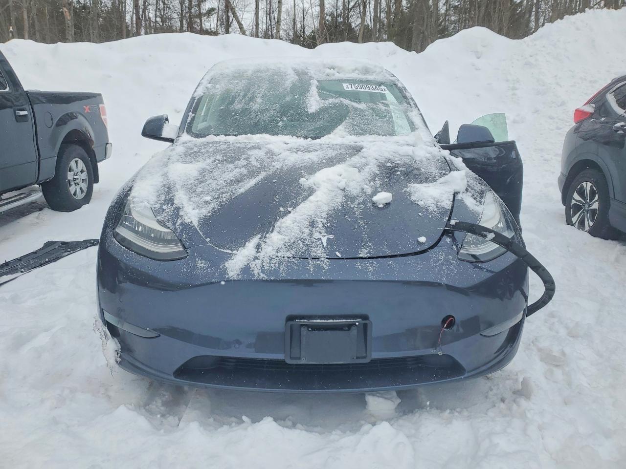 2022 Tesla Model Y - Фото 5