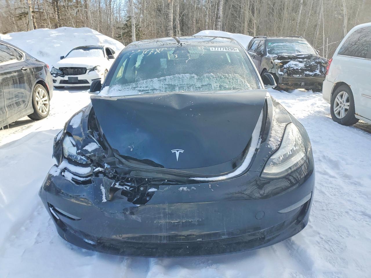 2019 Tesla Model 3 - Фото 5