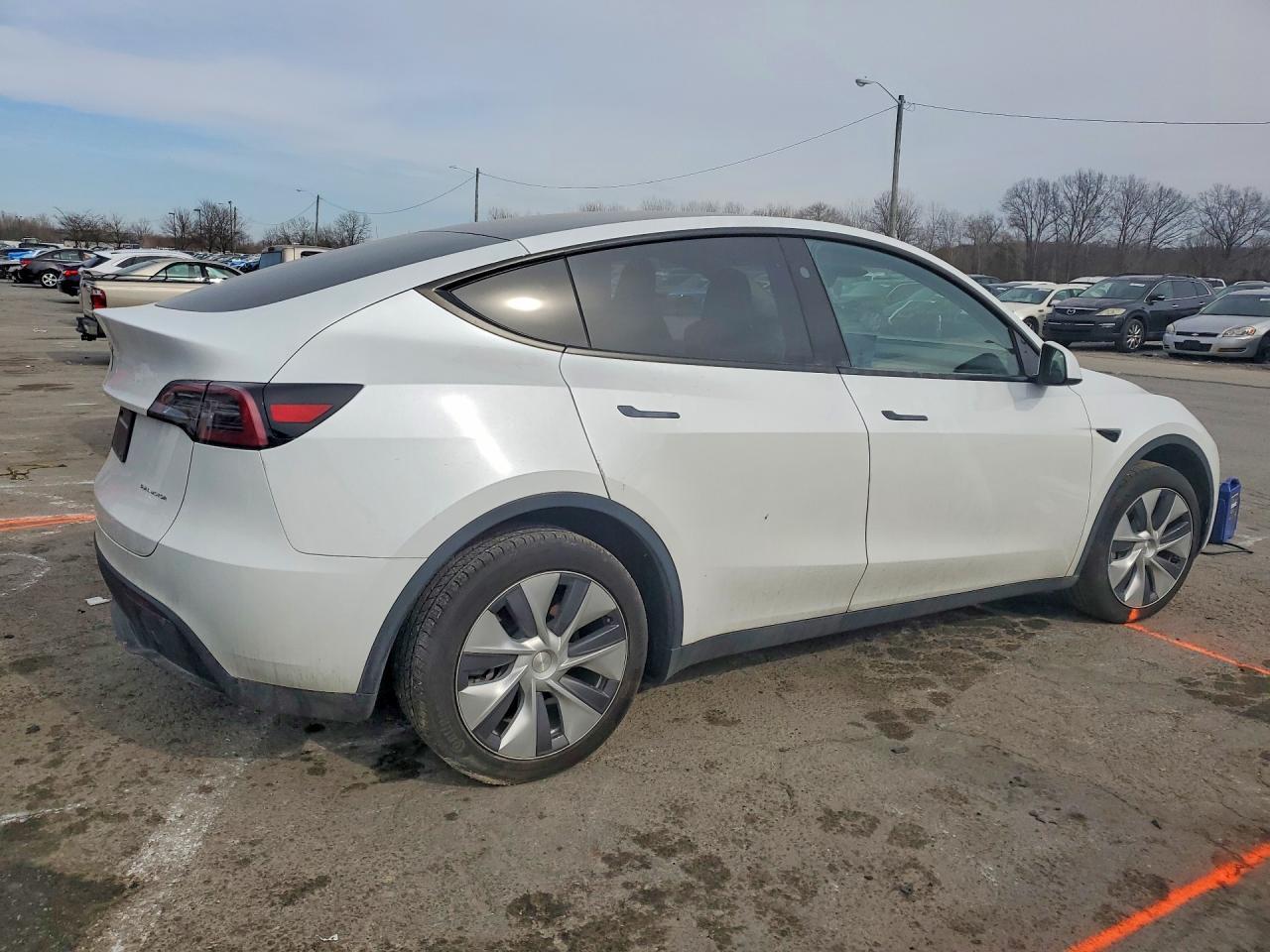 2023 Tesla Model Y - Фото 3