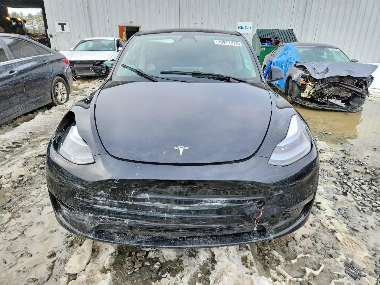 2025 Tesla Model Y - Image 5