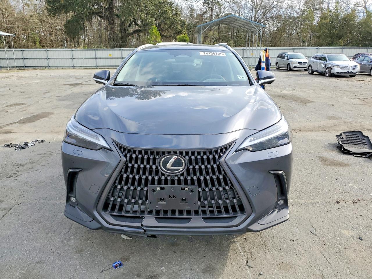 2024 Lexus Nx 450H Luxury - Фото 5