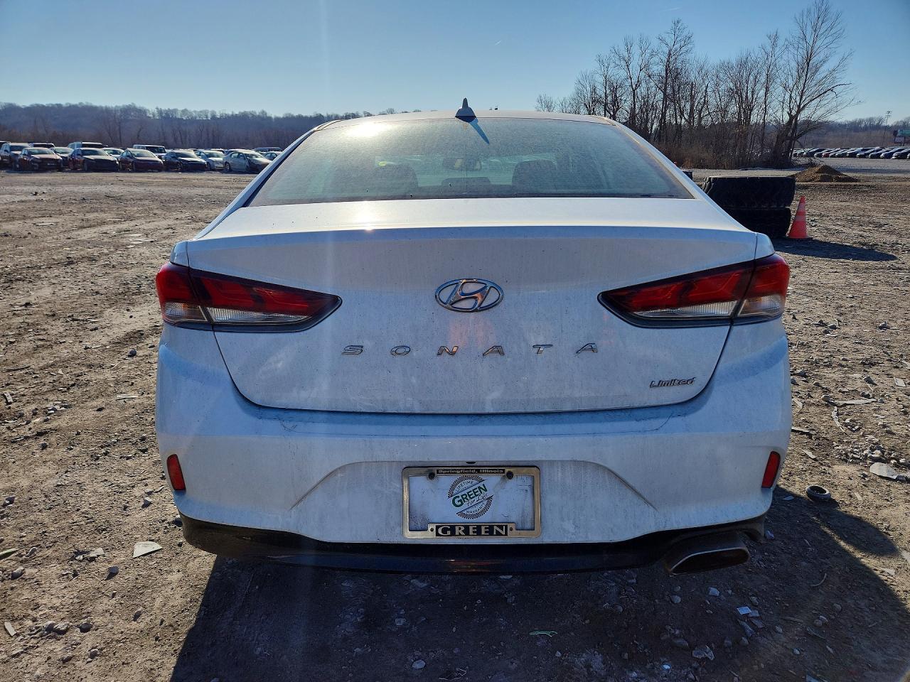 2019 Hyundai Sonata Limited - Фото 6