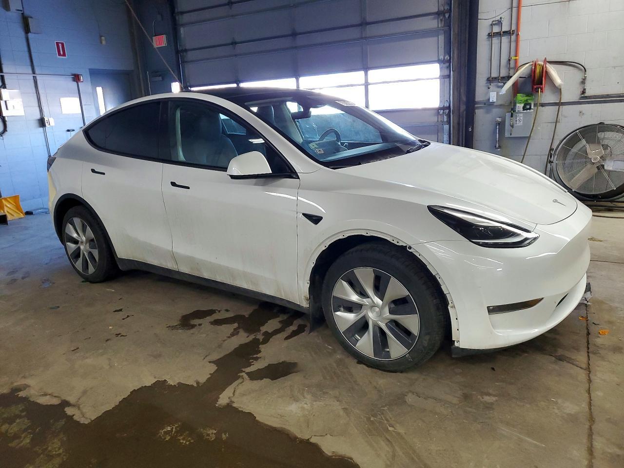 2023 Tesla Model Y - Image 4