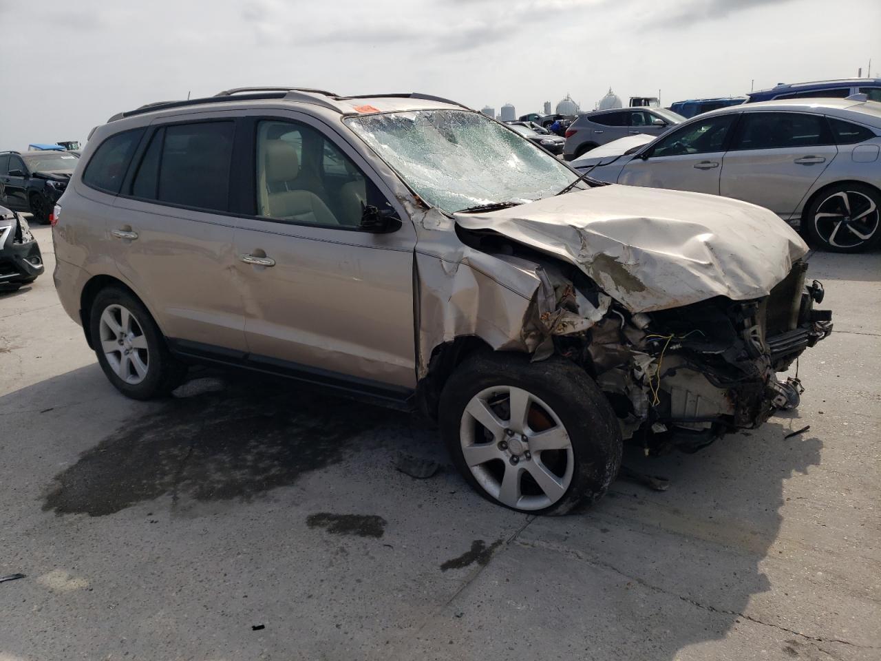 2007 Hyundai Santa Fe Se - Фото 4