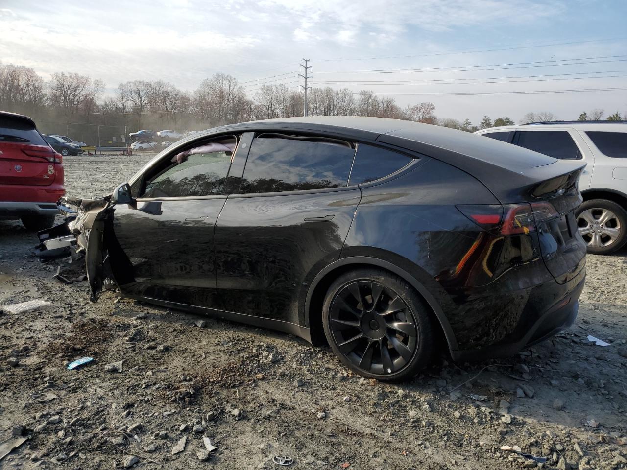 2023 Tesla Model Y - Фото 2
