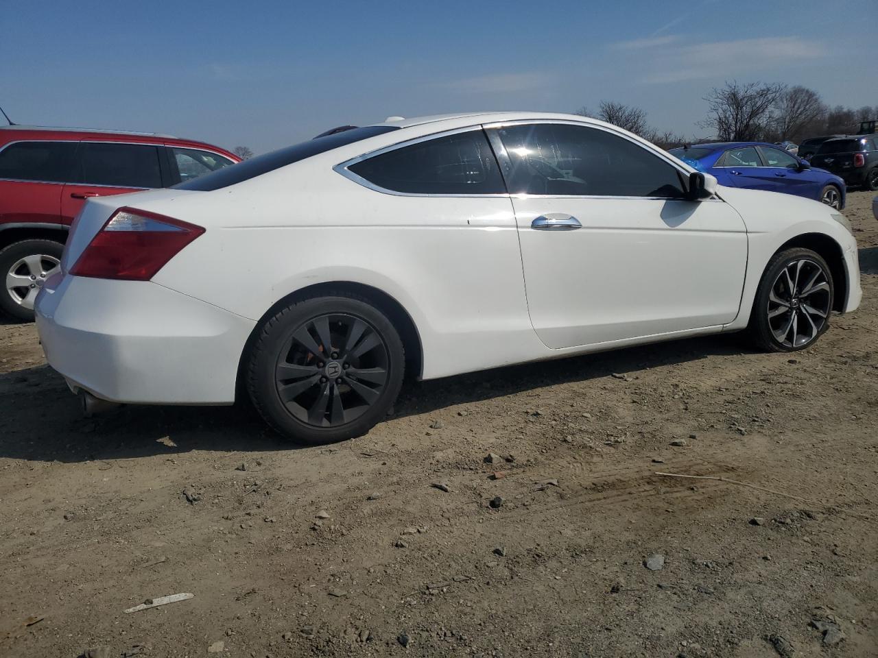 2008 Honda Accord Exl - Фото 3