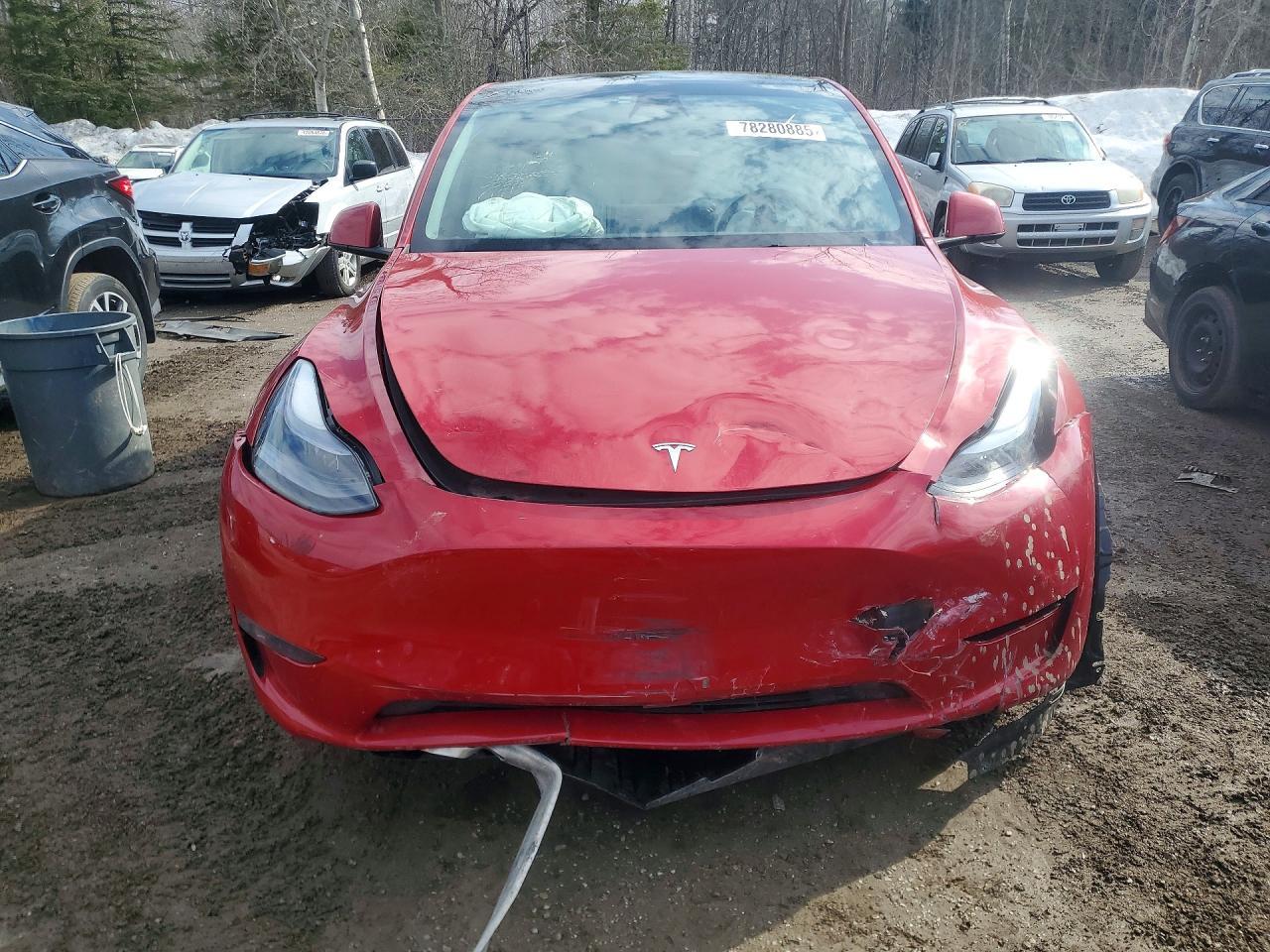 2023 Tesla Model Y - Image 5