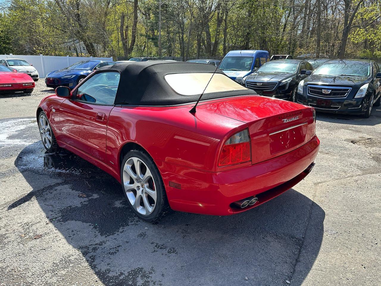 2002 Maserati Spyder Cambiocorsa - Image 3