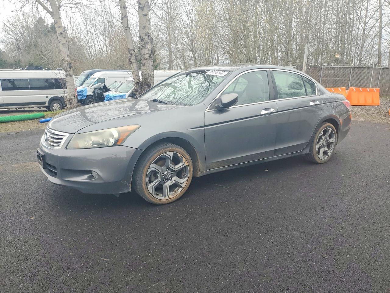 2010 Honda Accord Exl