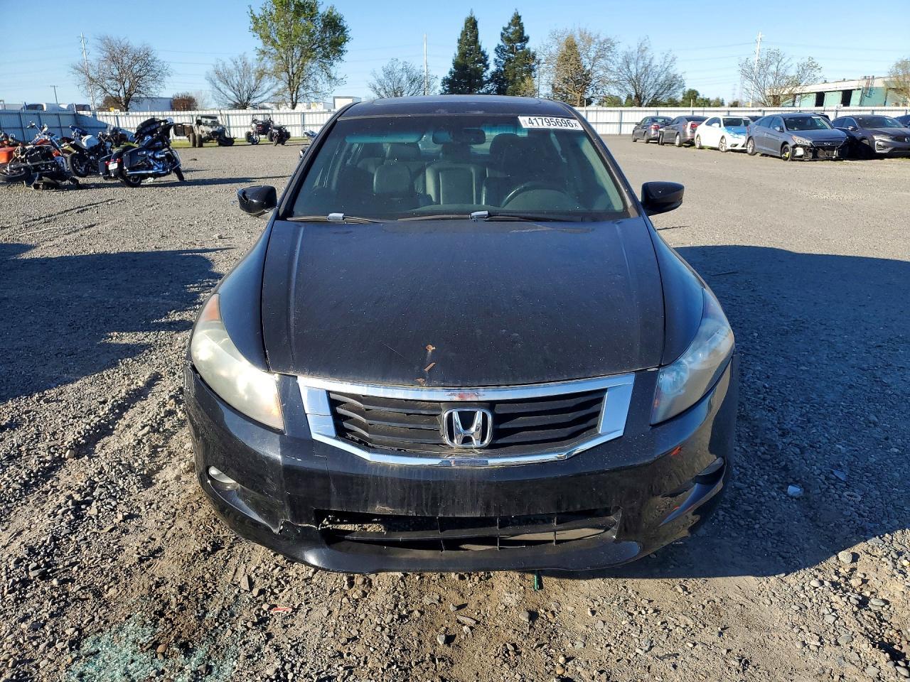 2009 Honda Accord Exl - Image 5