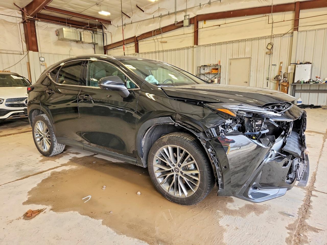 2024 Lexus Nx 350H Luxury - Фото 4