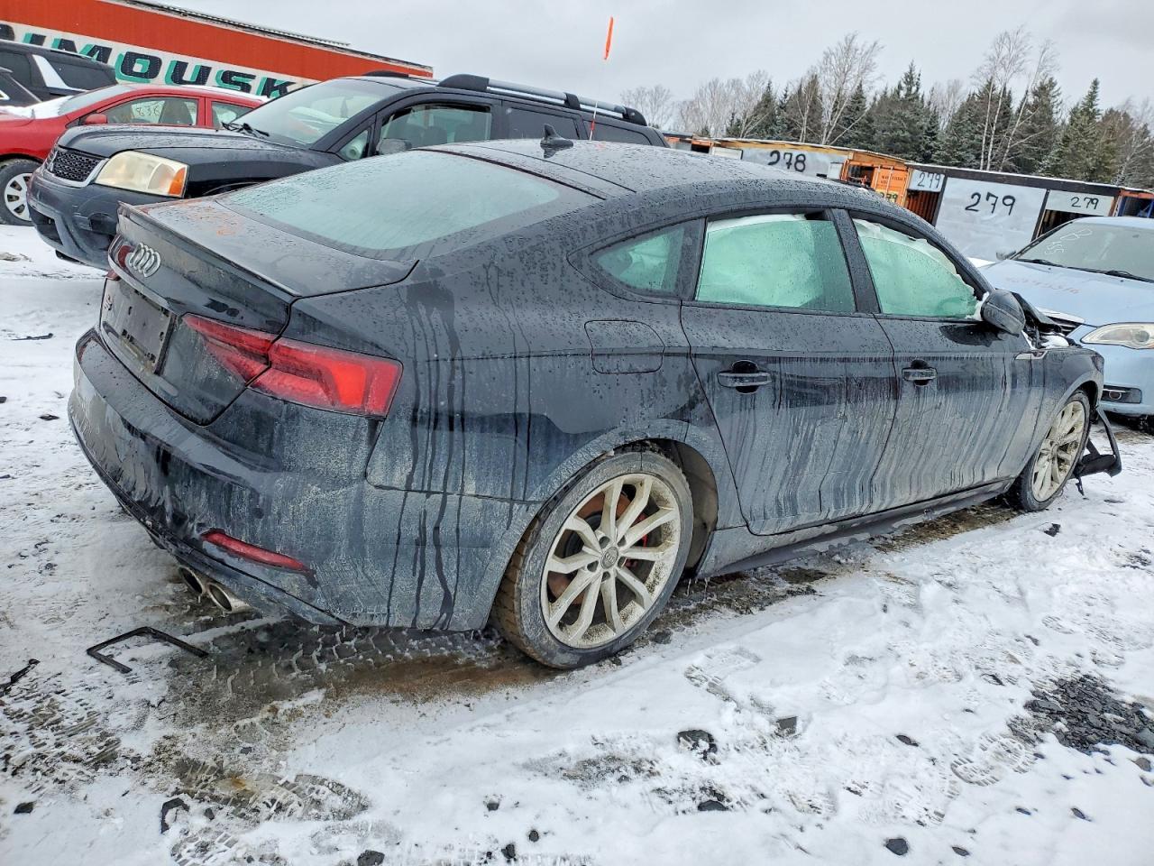 2019 Audi S5 Prestige - Фото 3