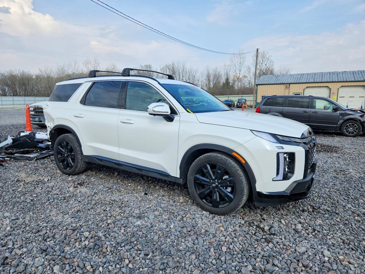2025 Hyundai Palisade Xrt - Фото 4