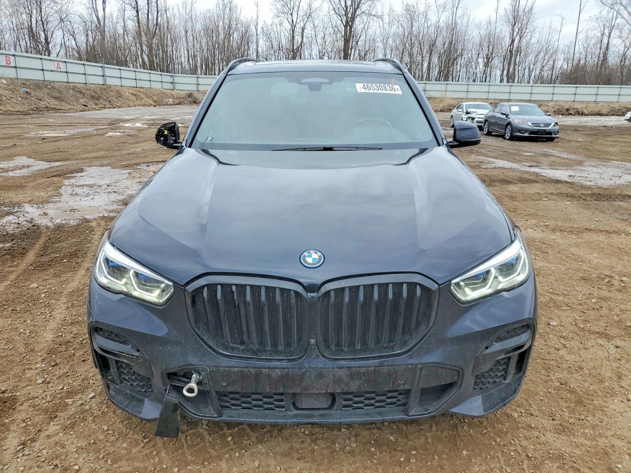 2023 BMW X5 - Image 5