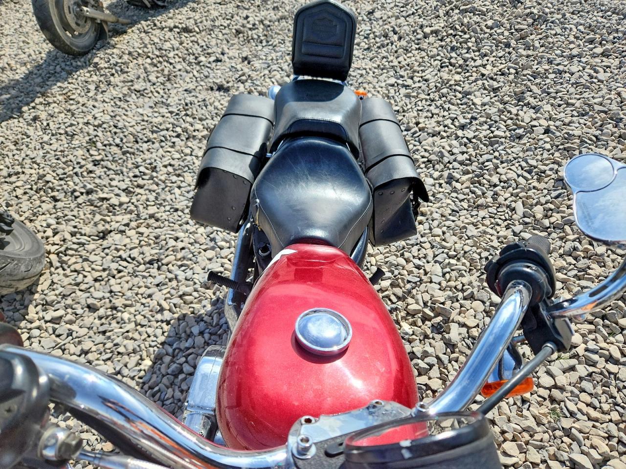2004 Harley-Davidson Xl 883 / Sportster 883 - Фото 5