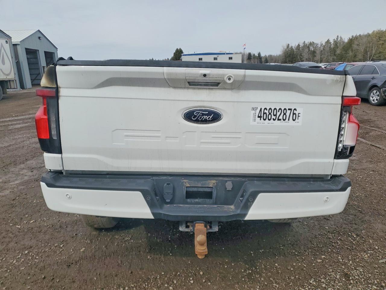 2023 Ford F150 Lightning Pro - Фото 6