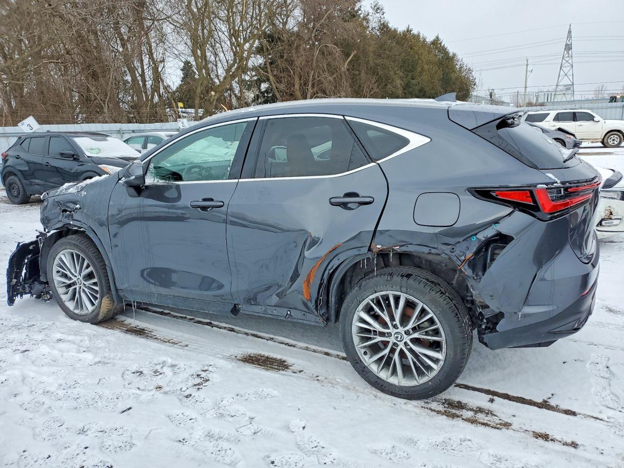 2025 Lexus Nx 350 - Фото 2