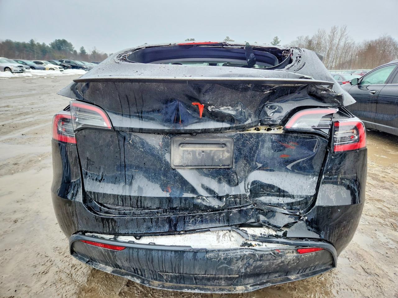 2022 Tesla Model Y - Фото 6