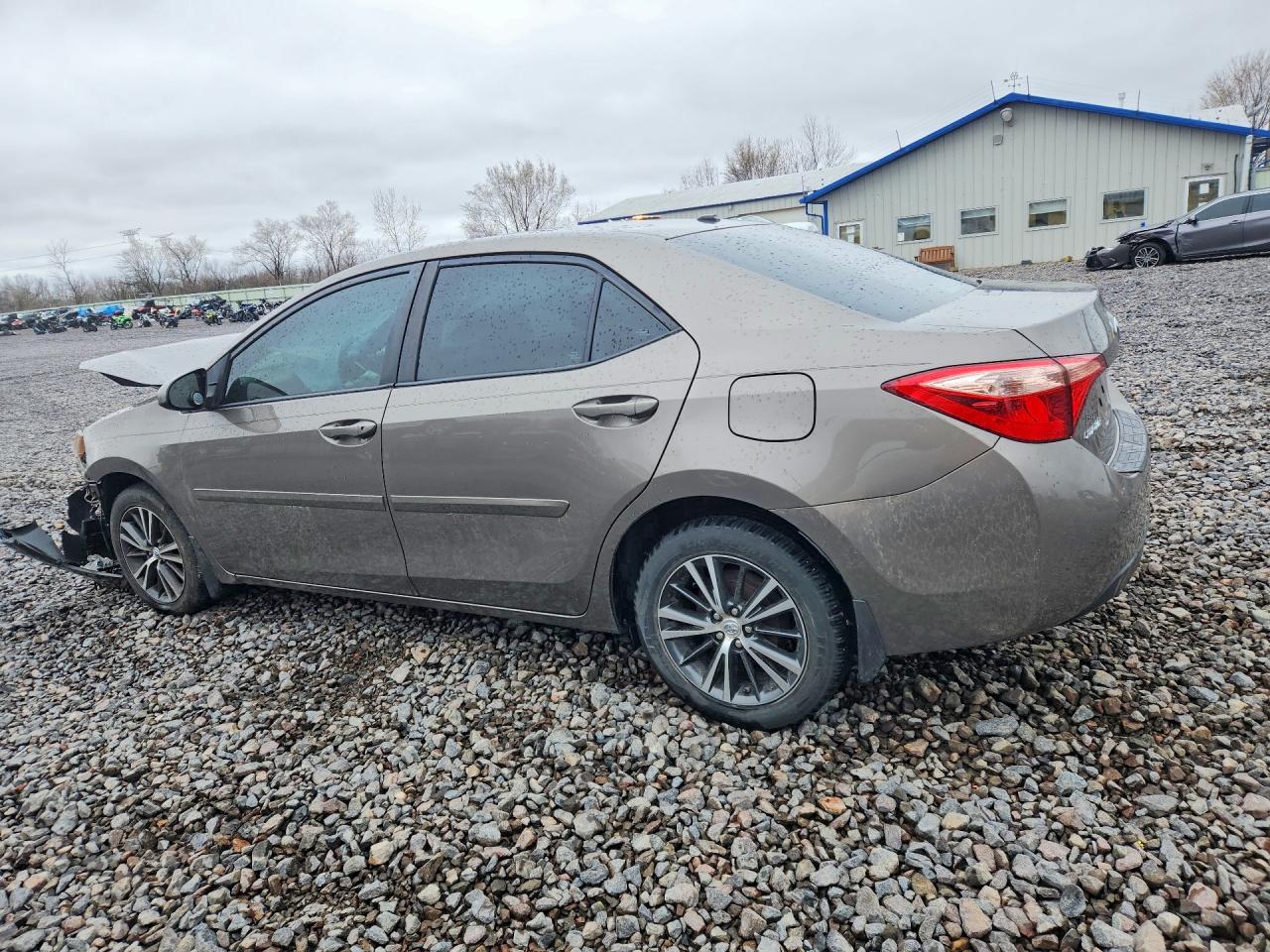 2019 Toyota Corolla Le - Фото 2