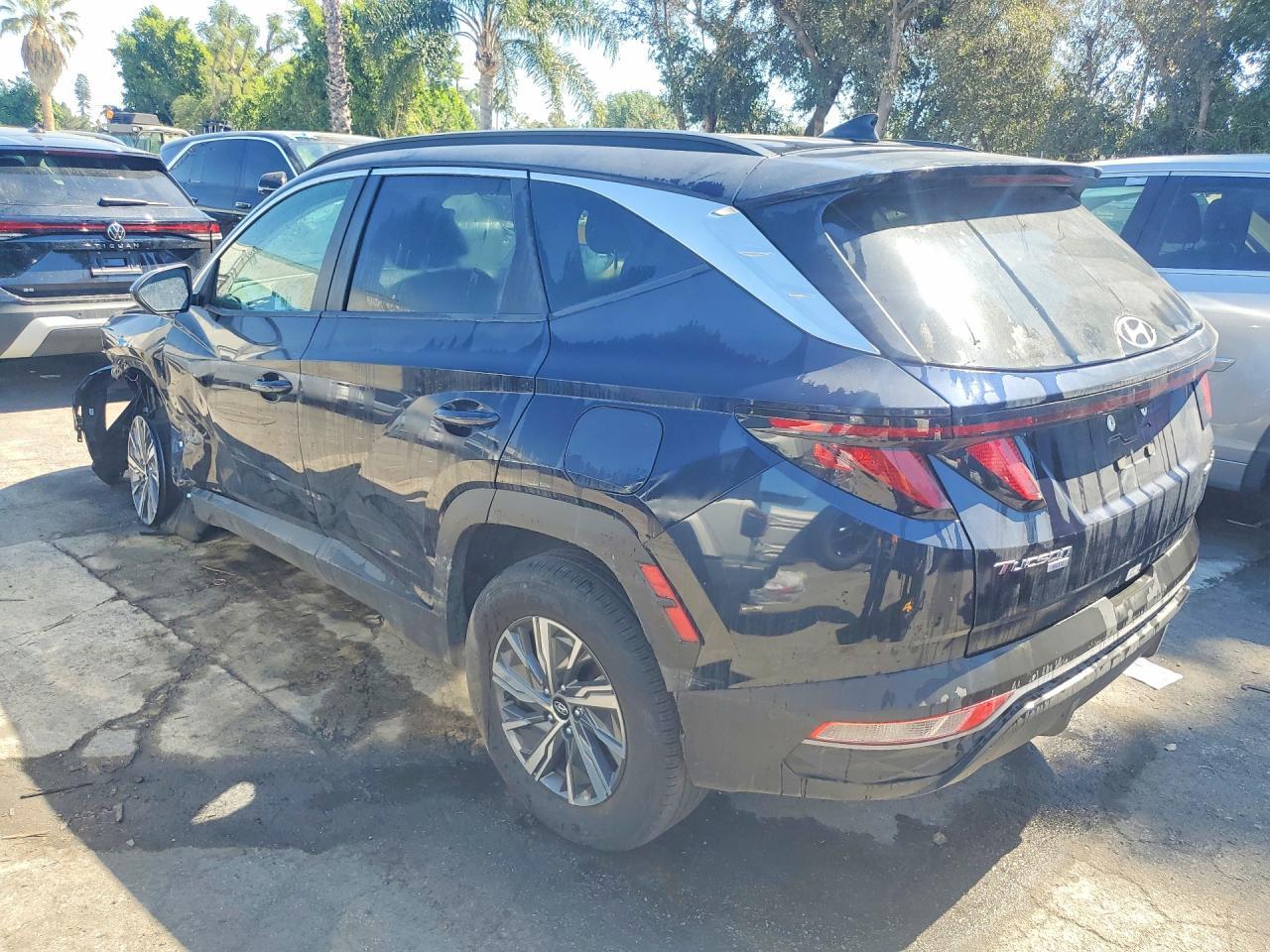 2024 Hyundai Tucson Hybrid Blue - Фото 2
