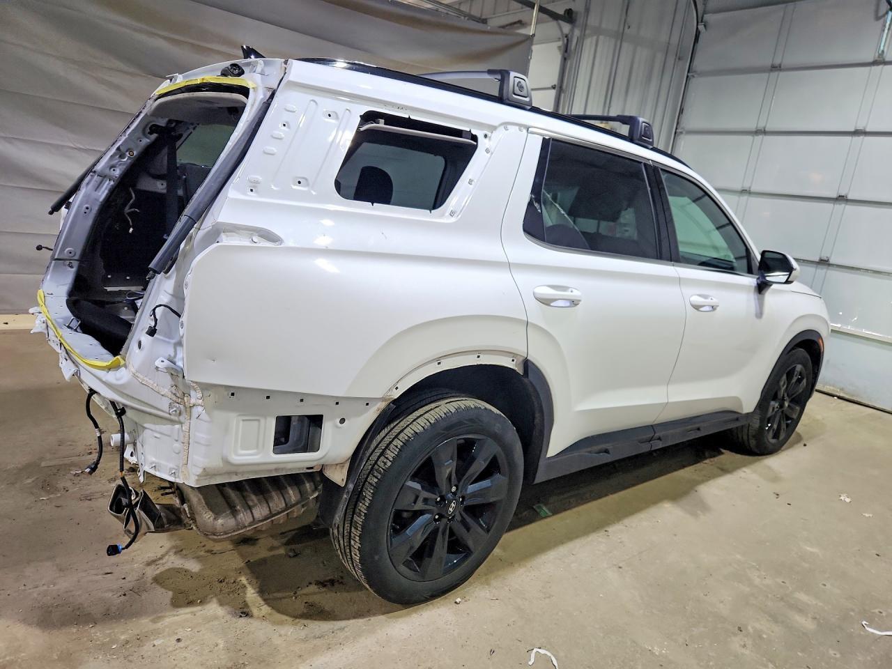2024 Hyundai Palisade Xrt - Фото 3