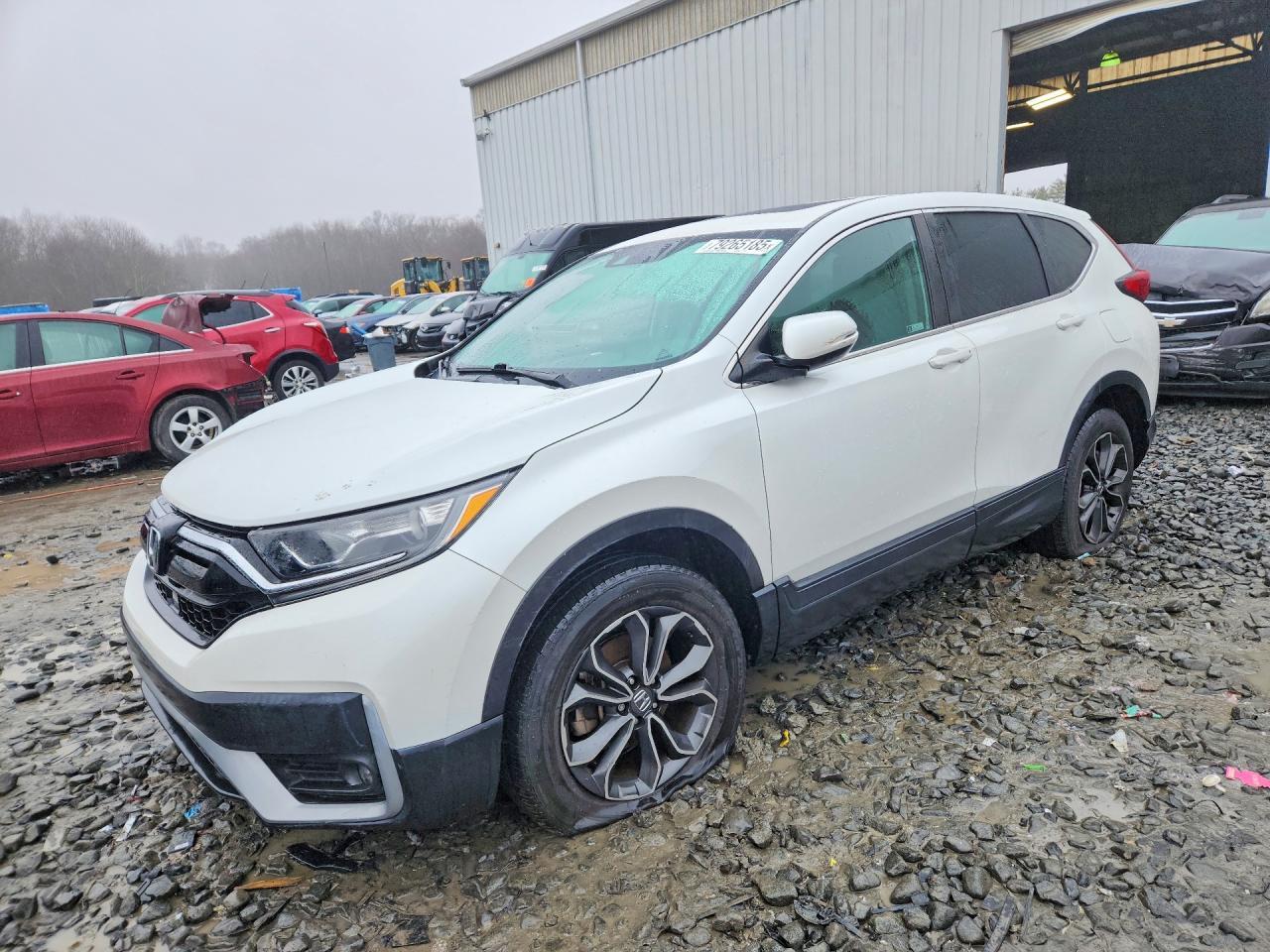 2021 Honda Cr-V Exl