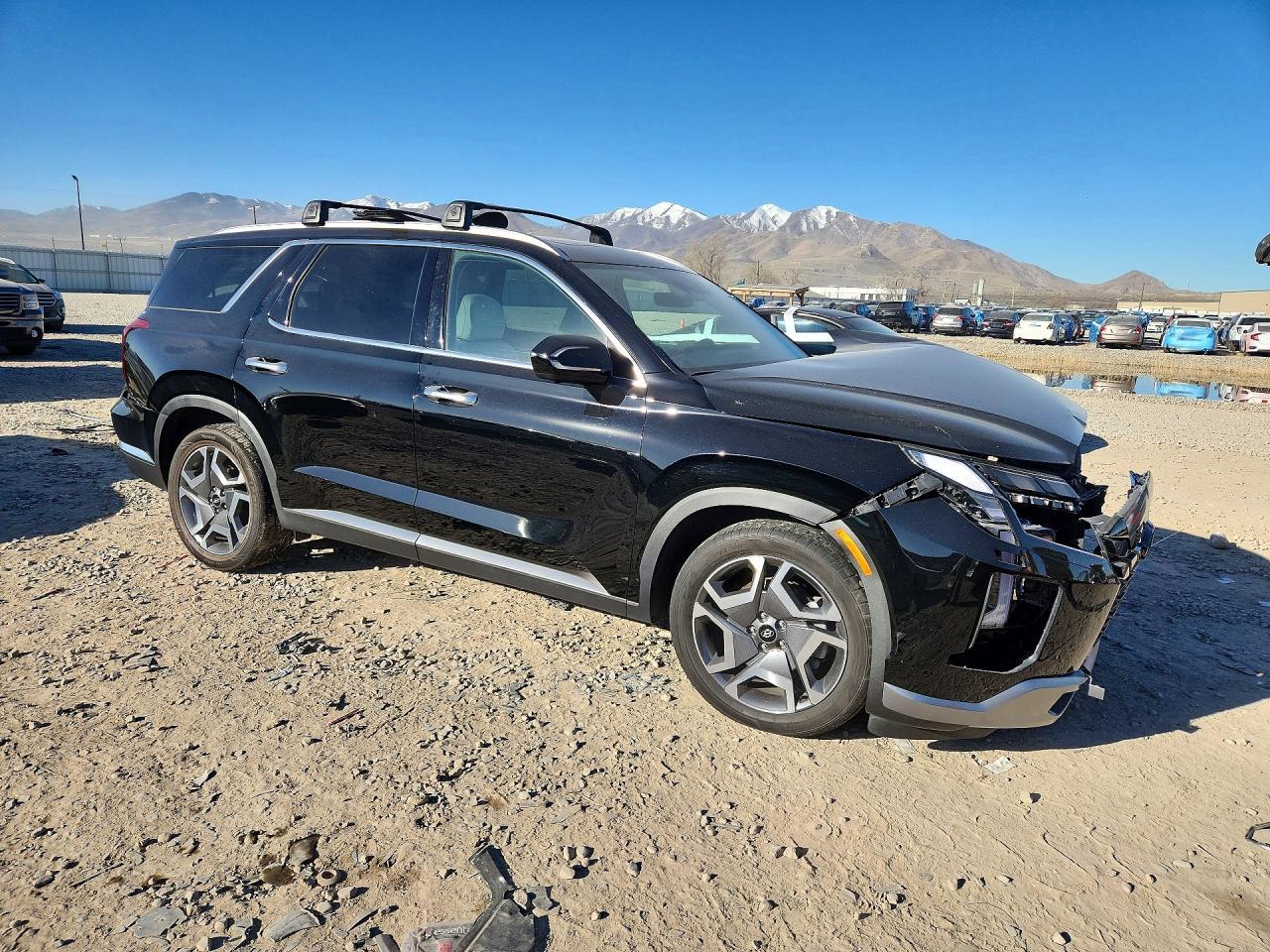 2024 Hyundai Palisade Limited - Фото 4