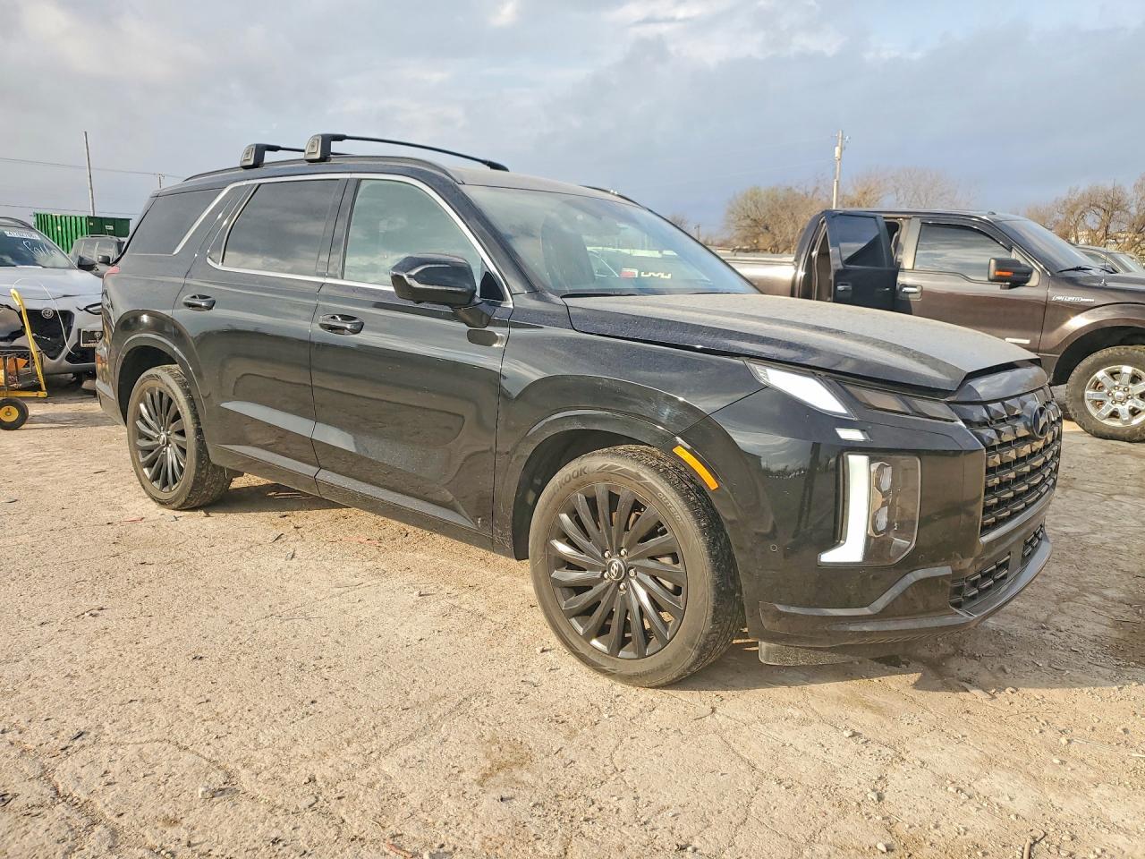 2025 Hyundai Palisade Calligraphy Night Edition - Фото 4