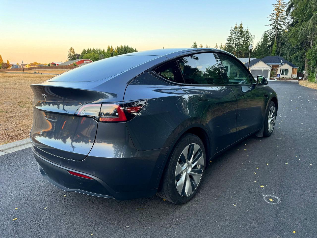 2021 Tesla Model Y - Фото 3
