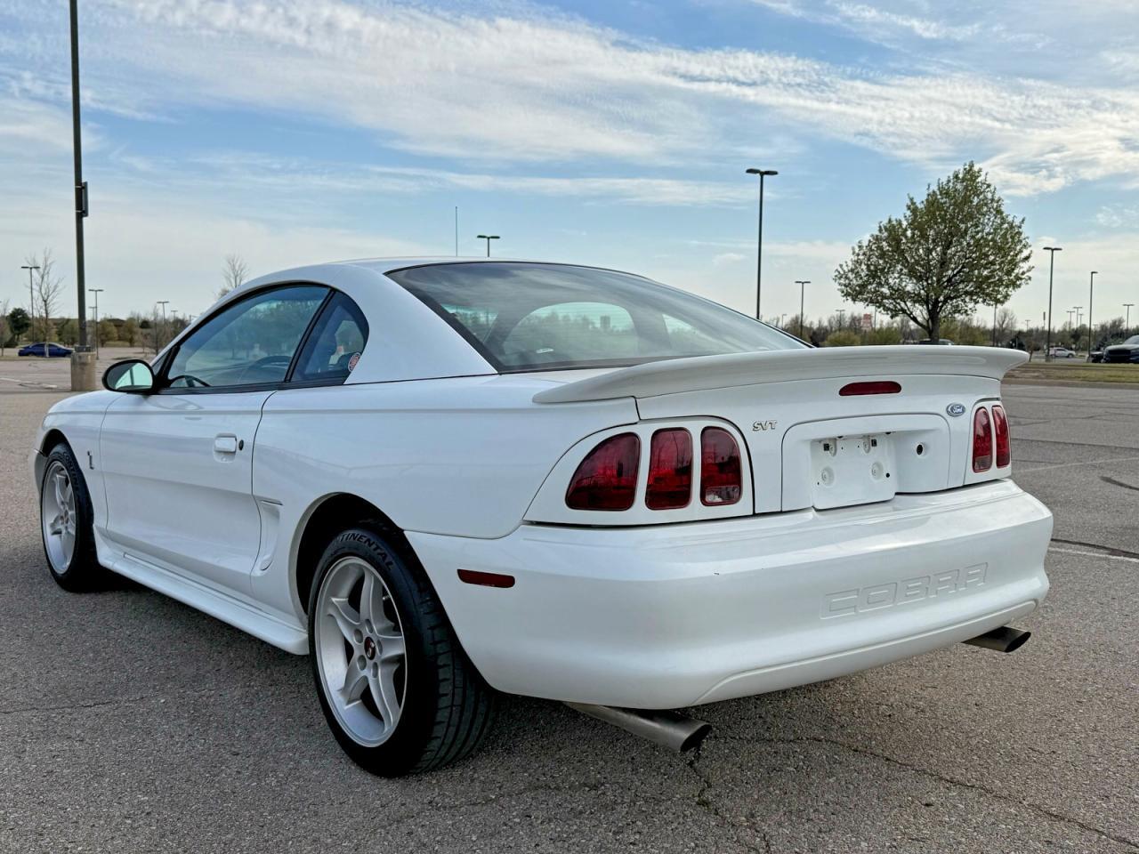 1997 Ford Mustang Cobra - Фото 3
