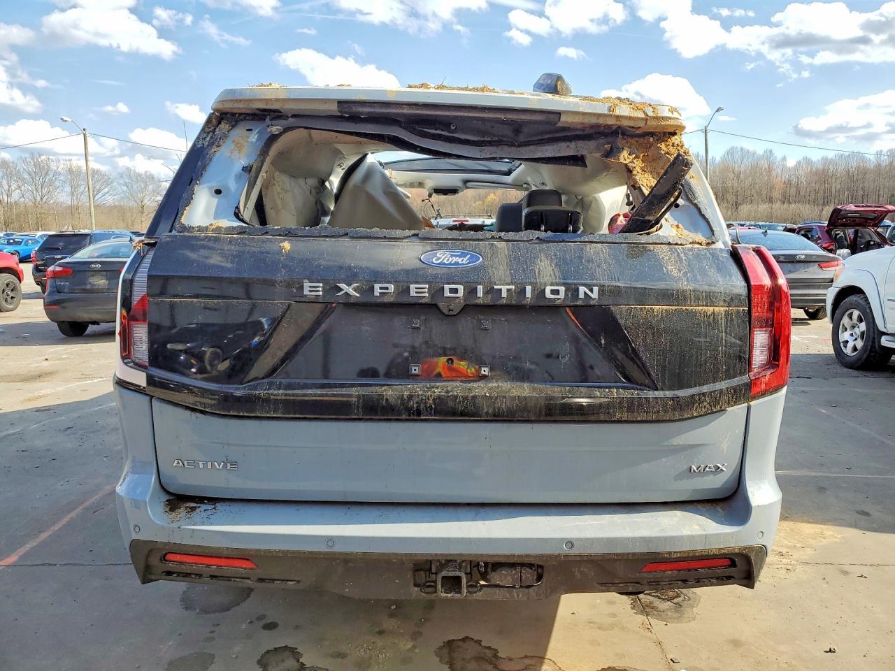 2025 Ford Expedition Max Active - Фото 6