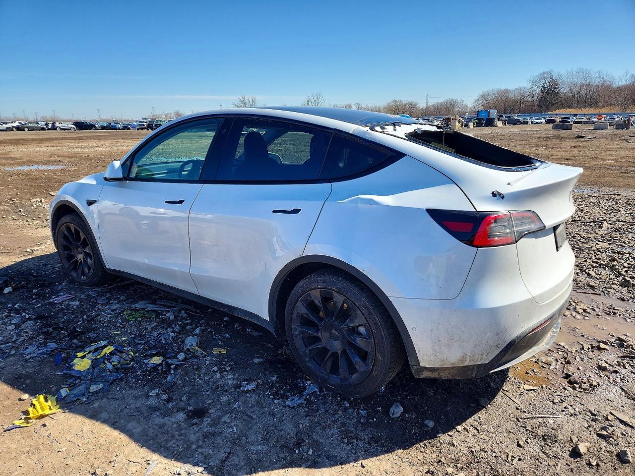 2021 Tesla Model Y - Фото 2