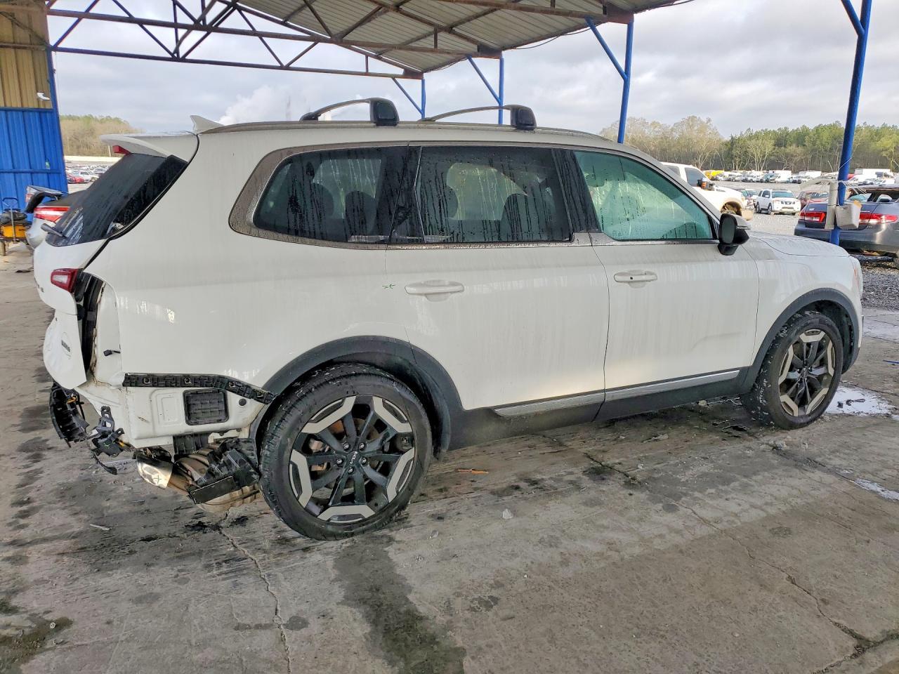 2020 Kia Telluride Ex - Фото 3