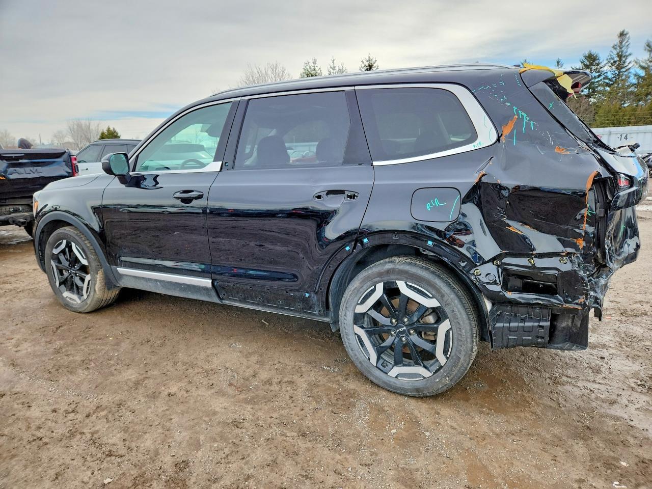 2024 Kia Telluride Ex - Фото 2