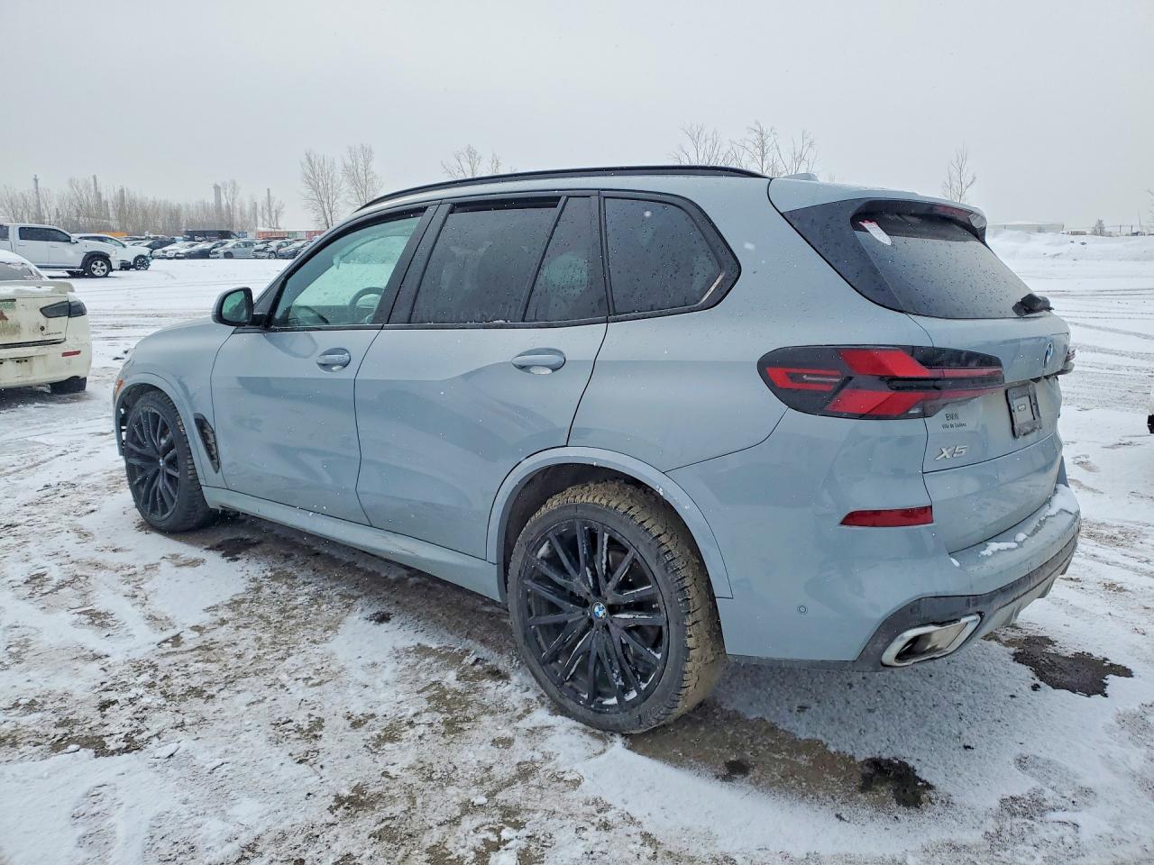 2024 BMW X5 - Image 2