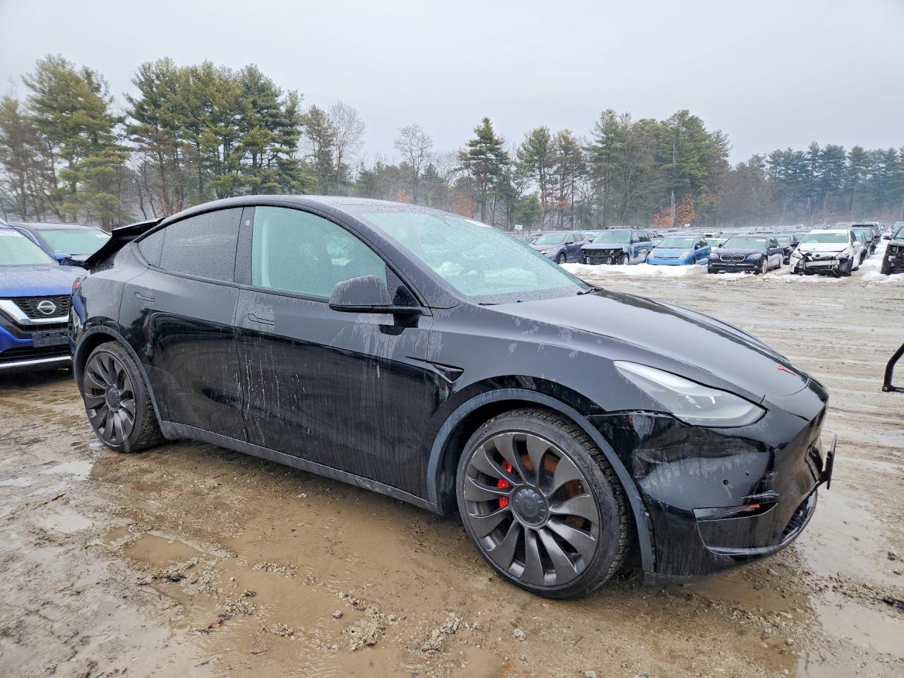 2022 Tesla Model Y - Фото 4