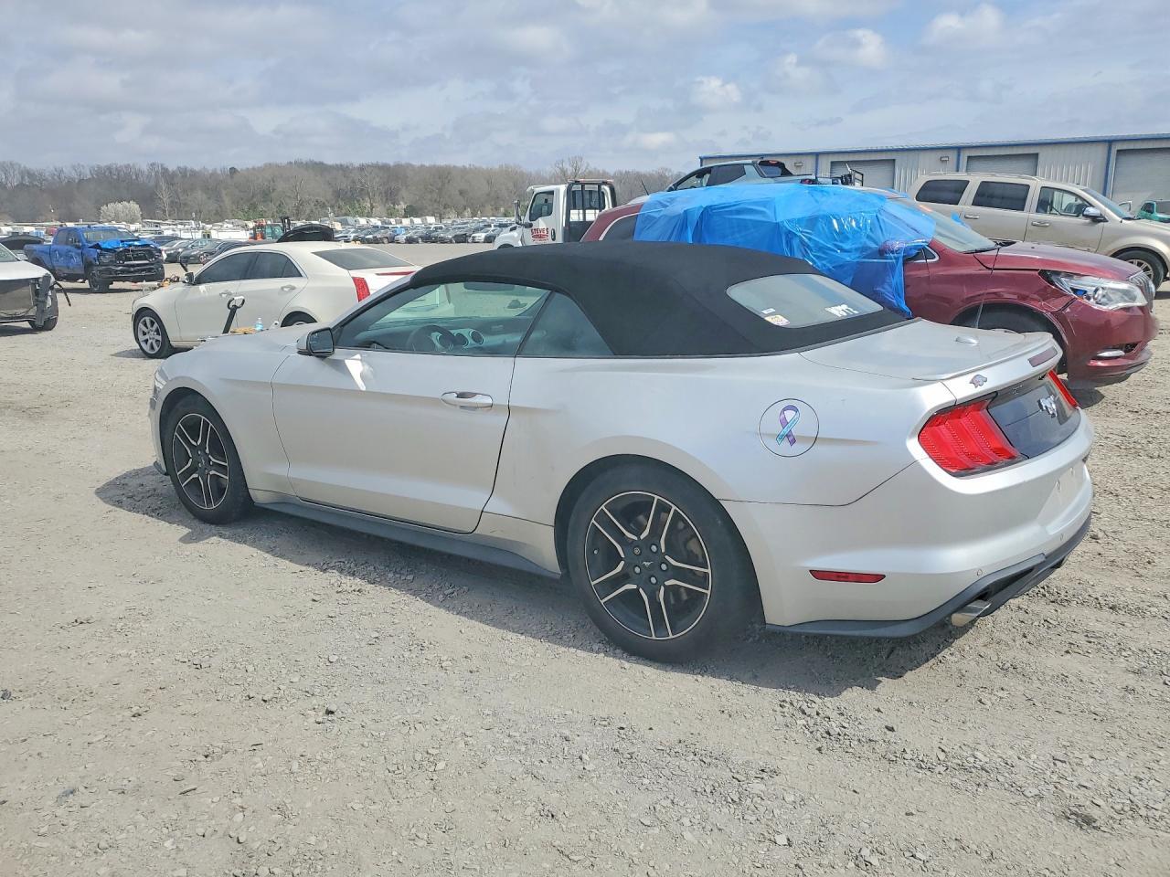 2019 Ford Mustang - Image 2