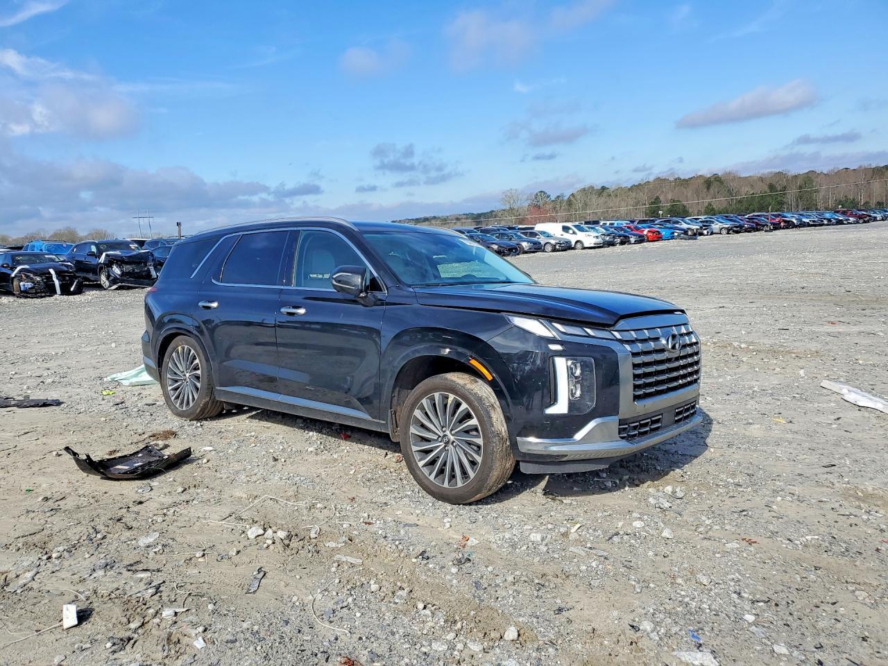 2024 Hyundai Palisade Calligraphy - Фото 4