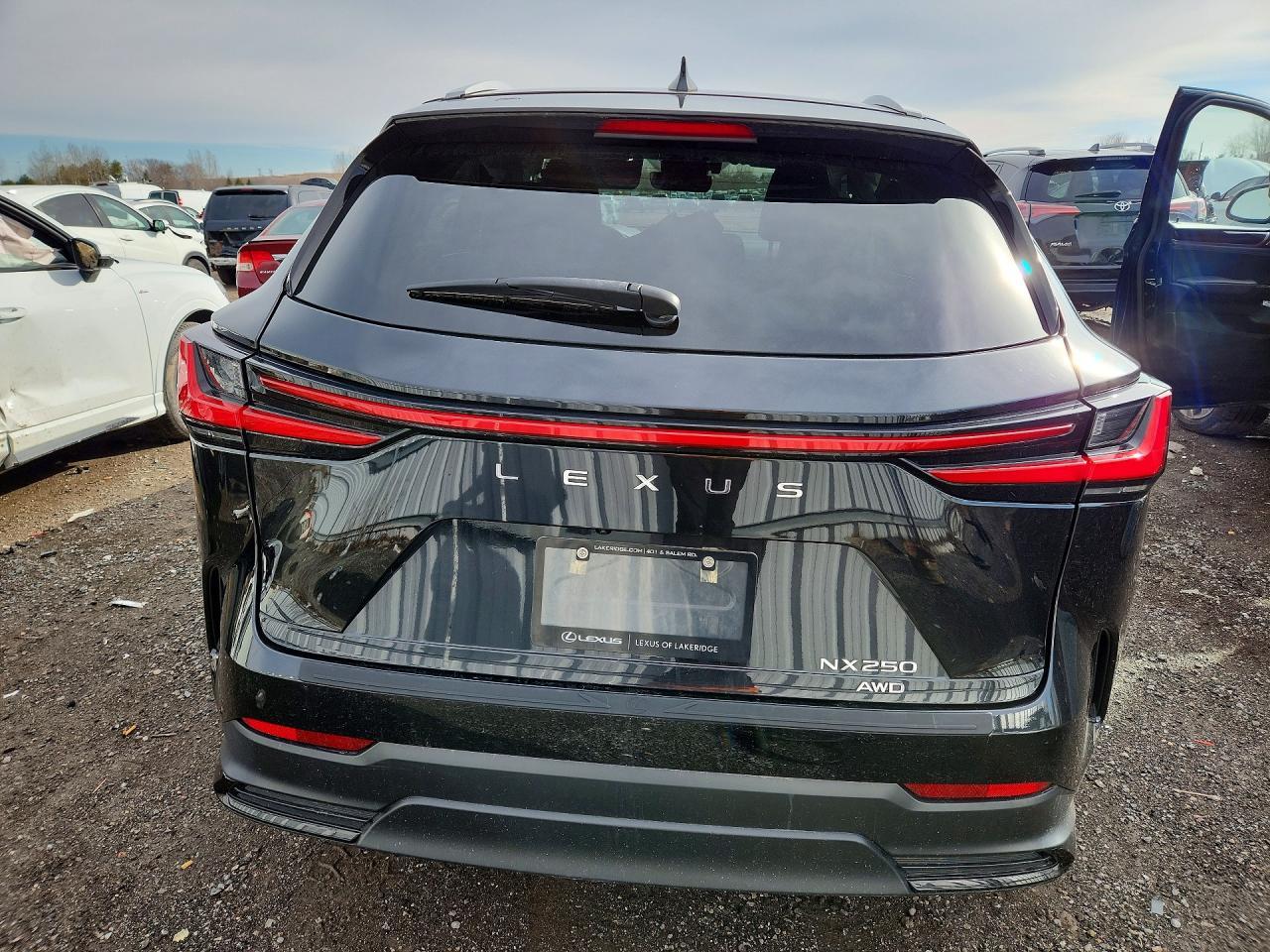 2022 Lexus Nx 250 - Фото 6