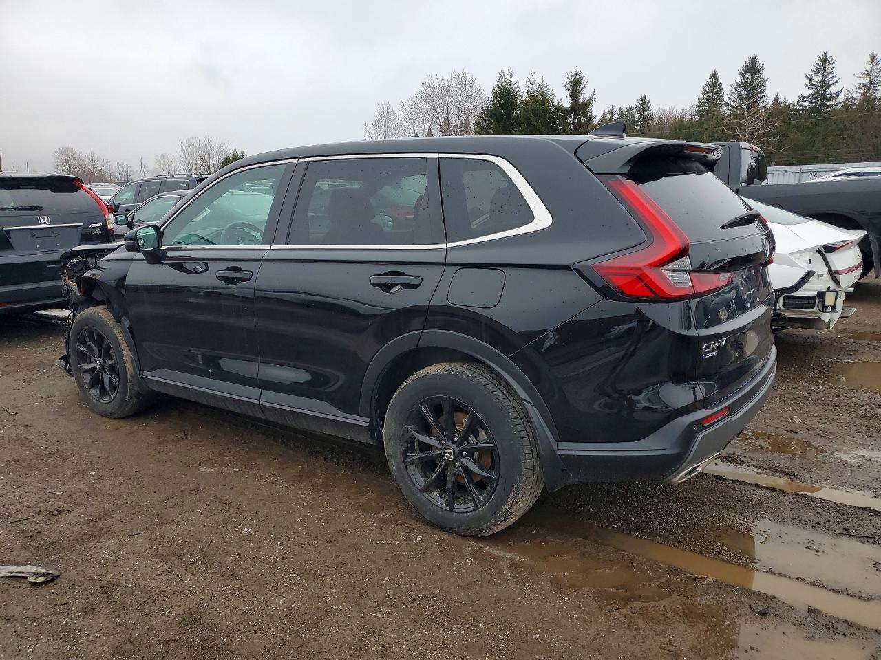 2024 Honda Cr-V Exl - Image 2