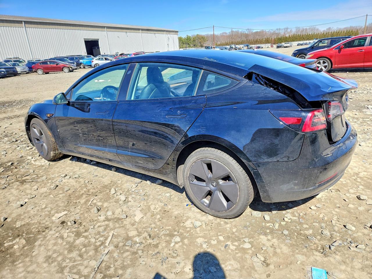 2023 Tesla Model 3 - Фото 2