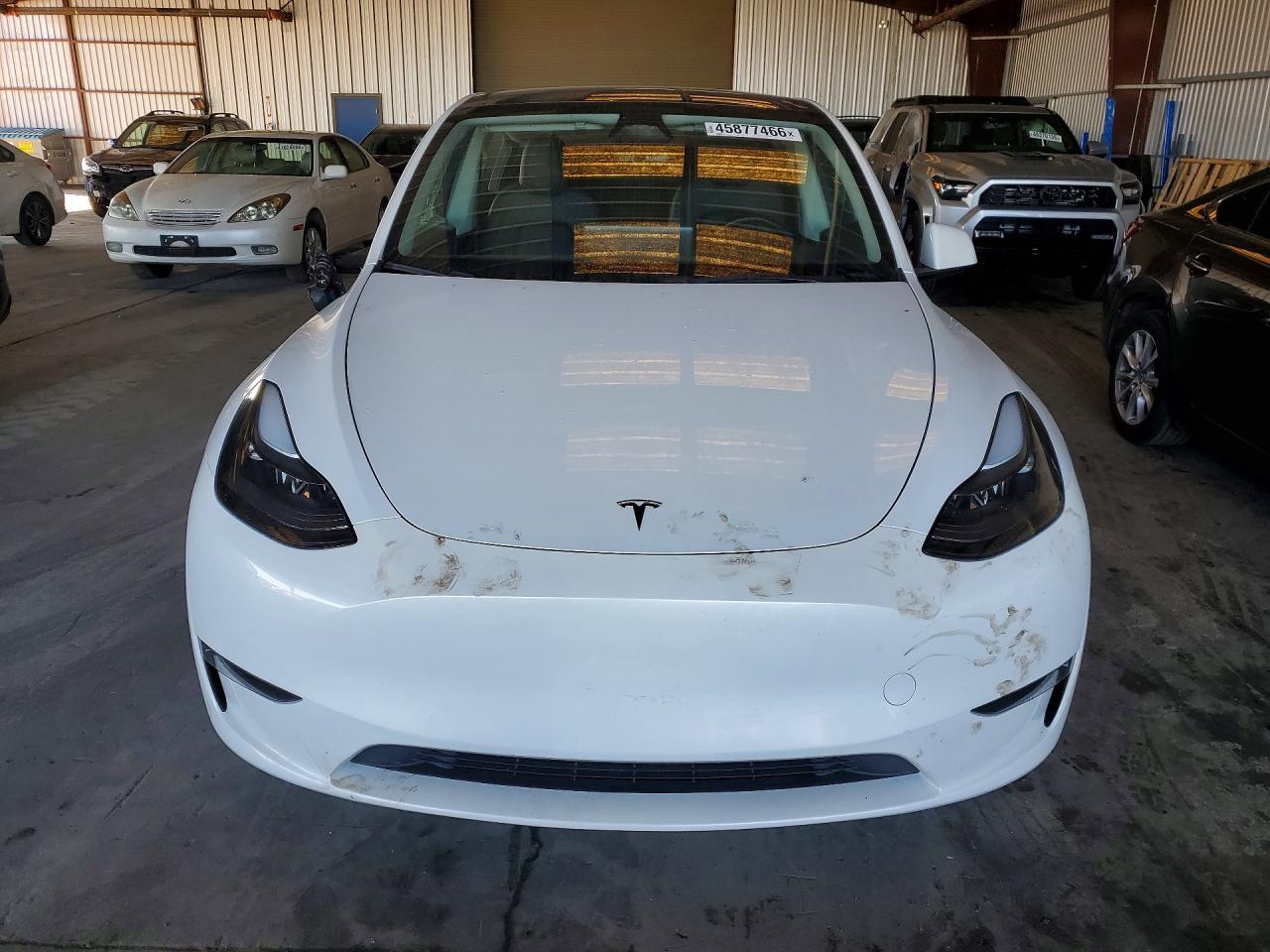 2023 Tvr Model Y - Image 5