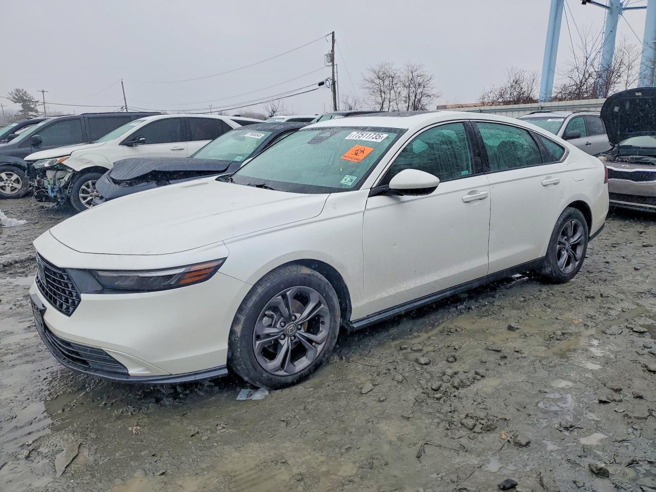 2023 Honda Accord Ex