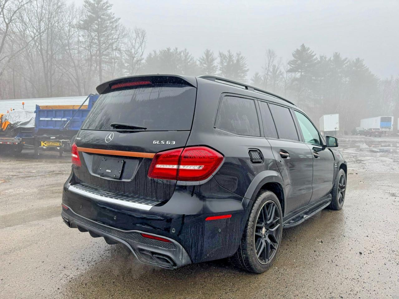 2017 Mercedes-Benz Gls 63 Amg 4Matic - Фото 4