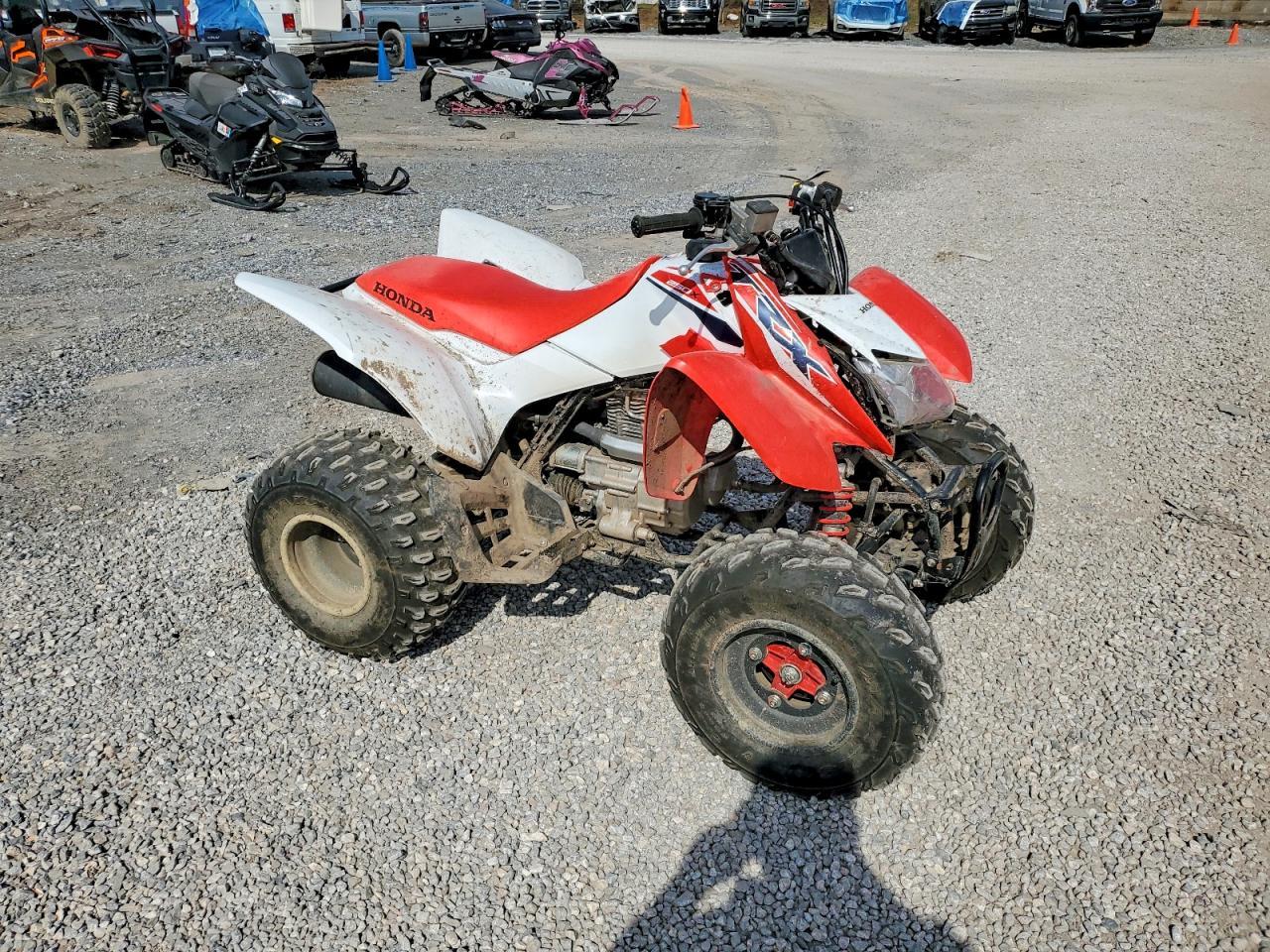 2024 Honda Trx250 X Atv