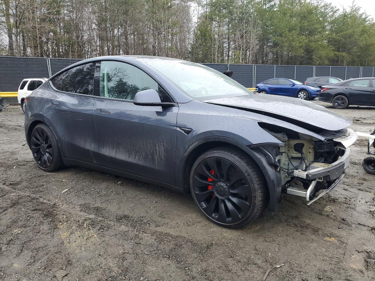 2023 Tesla Model Y - Фото 4