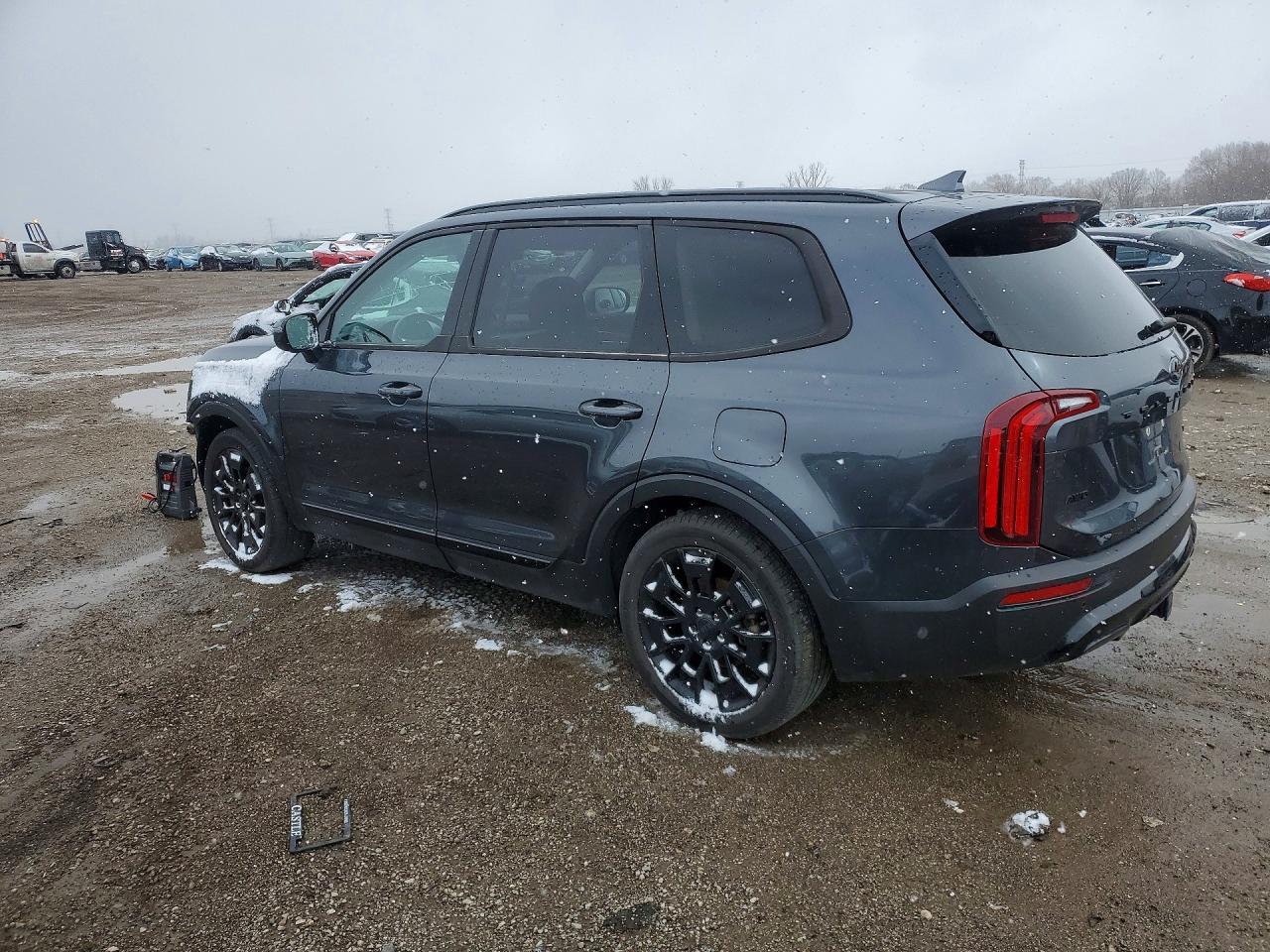 2021 Kia Telluride Sx - Фото 2