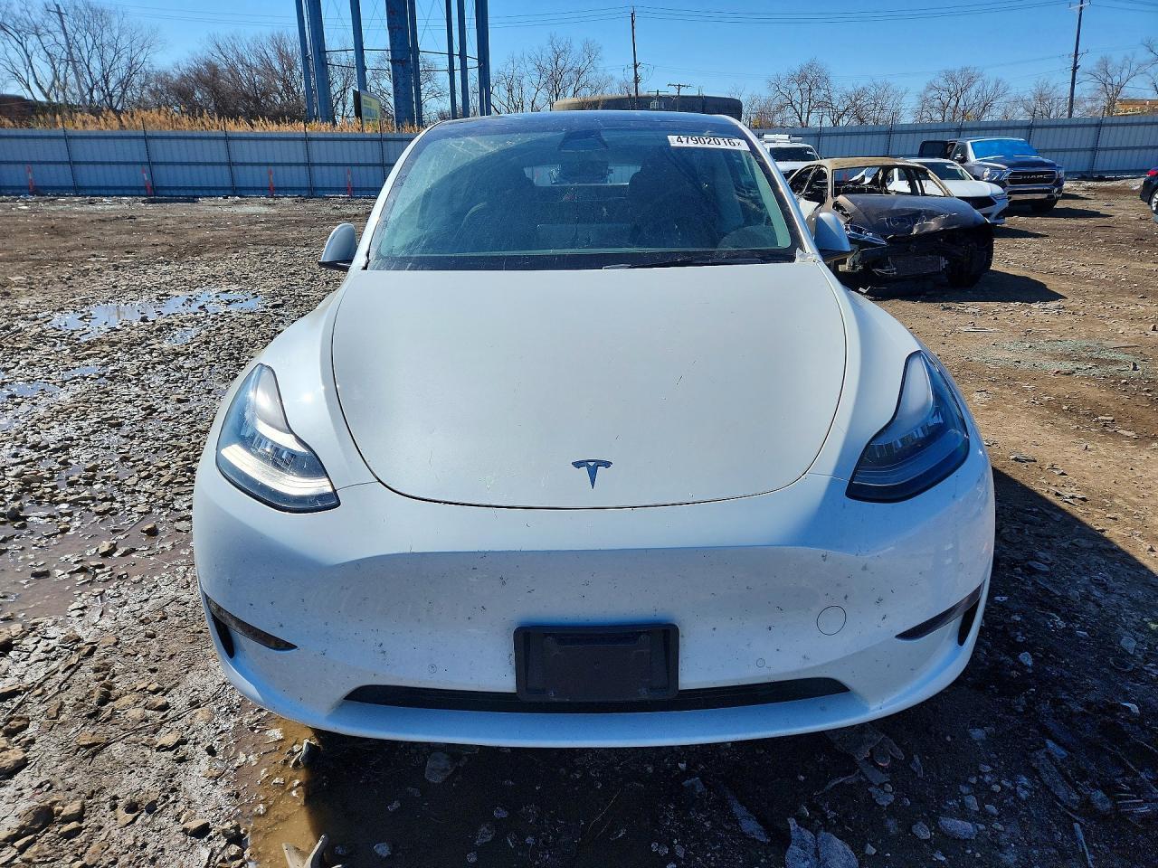 2021 Tesla Model Y - Фото 5